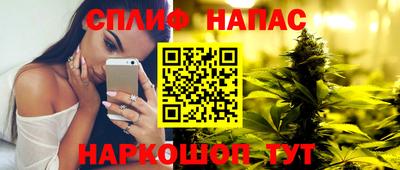 Альфа ПВП Кингисепп