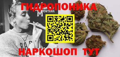 спайс Кимры