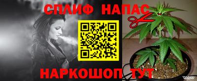 Альфа ПВП Кингисепп
