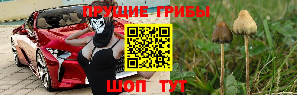 Трёхгорный  Галлюциногенные грибы прущие грибы  Вход с VPN 